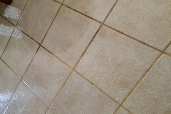 Carpet and Tile Cleaner in San Tan Valley | Brian's Cleaning